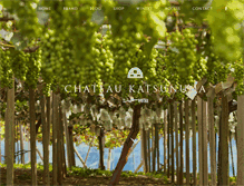 Tablet Screenshot of chateauk.co.jp